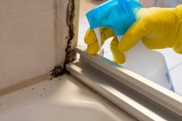 Mold Testing and Removal in Salem, VA